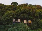 cabins from drone